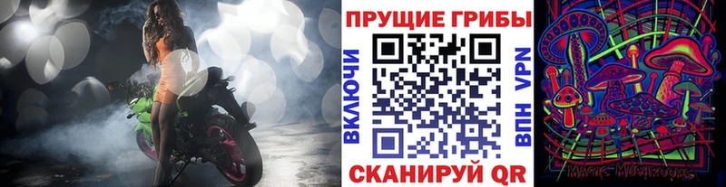 Псилоцибиновые грибы Cubensis  Светлоград 