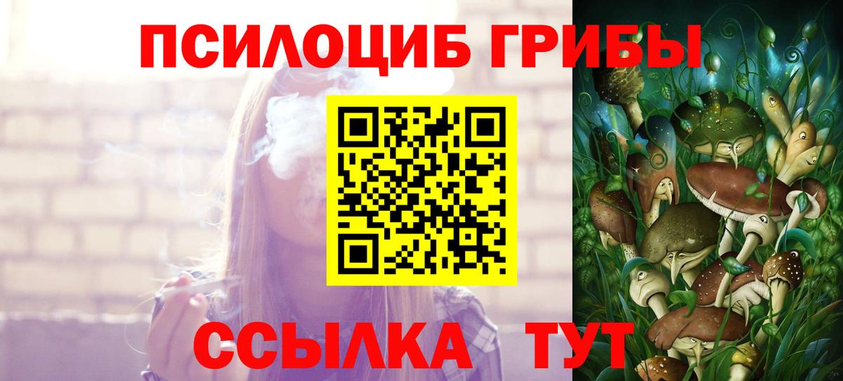 Светлоград  Галлюциногенные грибы прущие грибы  Вход с VPN 